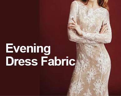 Evening Dress Fabric